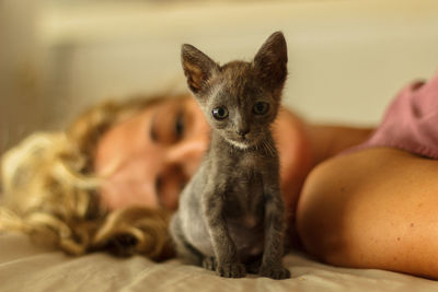 Close-up portrait of kitten sitting against woman sleeping on bed at home
