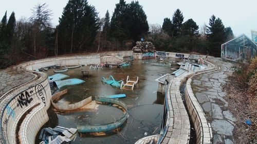 Reflection of trees in water