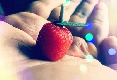 Close-up of hand holding food