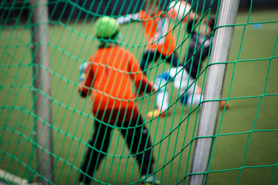 Close-up of parrot in cage
