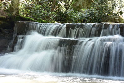 Scenic view of waterfall