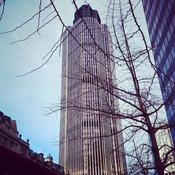 Low angle view of skyscrapers