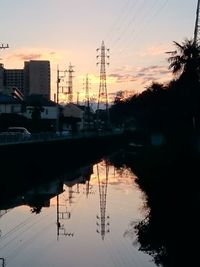 Reflection of trees in water