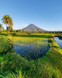 Scenic view of lake against clear sky