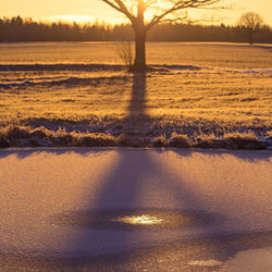 A beautiful frozen pond in the rural scene during the morning golden hour. 