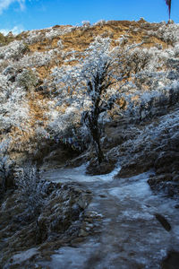 Scenic view of waterfall