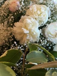 Close-up of flowers blooming outdoors