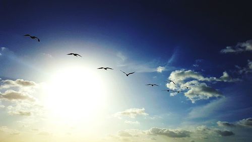 Low angle view of airplane flying in sky