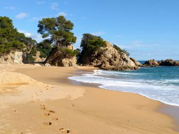 Scenic view of beach against sky