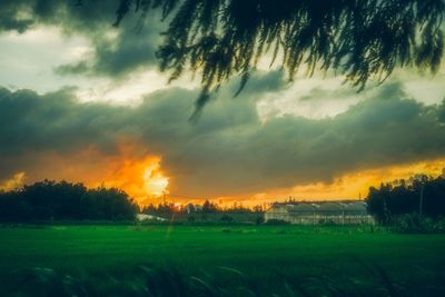 Scenic view of field against sky during sunset