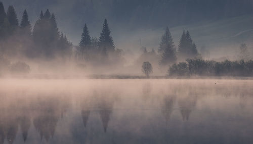 mist