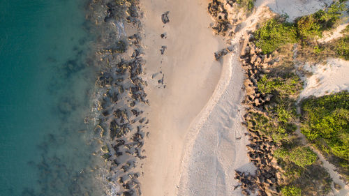 Drone view of beach