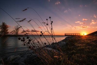 Scenic view of sea at sunset