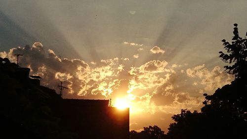 Low angle view of sunlight streaming through silhouette trees during sunset