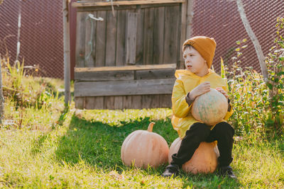 A boy in a yellow raincoat sits on large pumpkins on the street. preparing for halloween. 