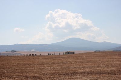 Scenic view of agricultural field against sky