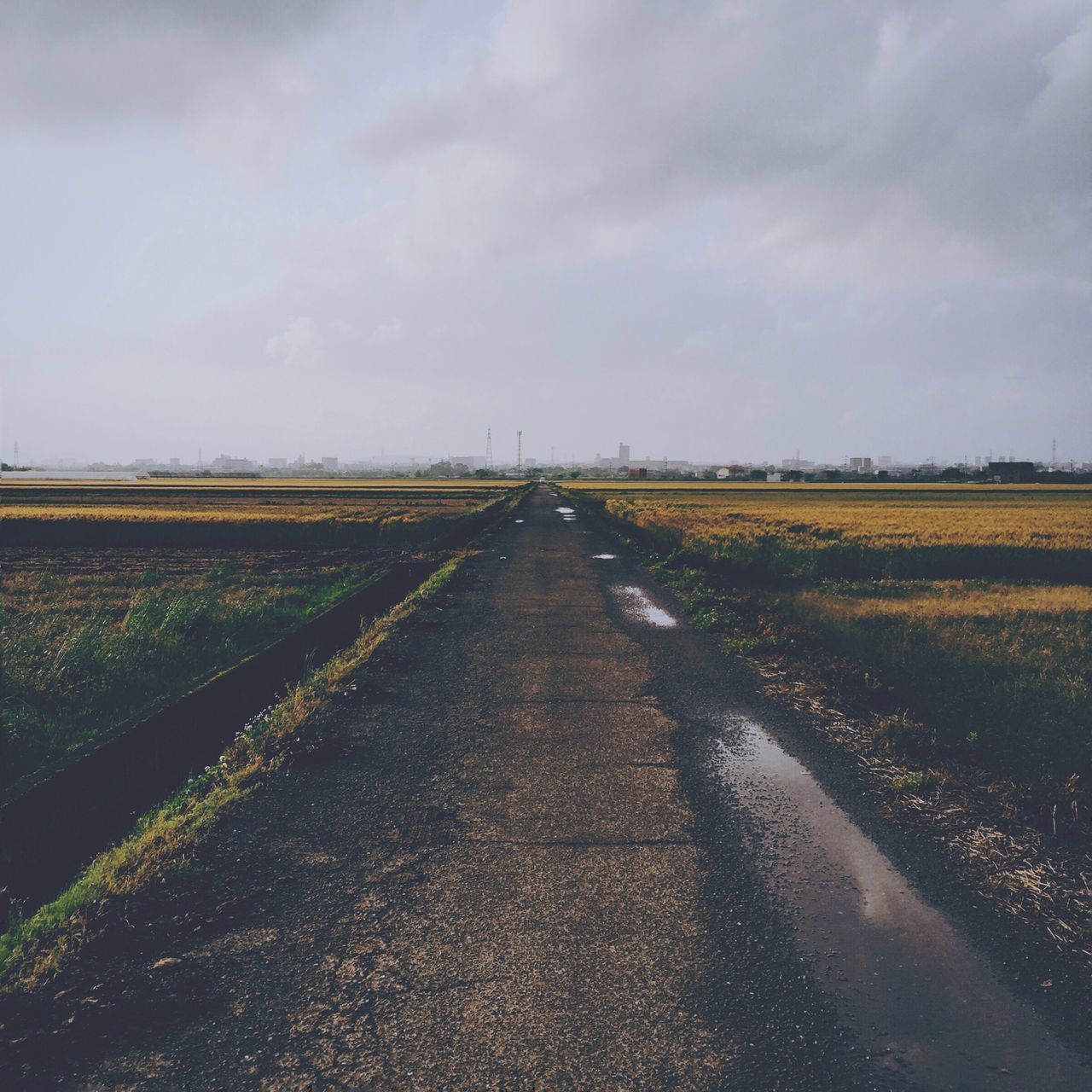 sky, landscape, the way forward, field, tranquil scene, tranquility, rural scene, agriculture, diminishing perspective, nature, scenics, cloud - sky, vanishing point, dirt road, beauty in nature, horizon over land, farm, growth, cloud, grass