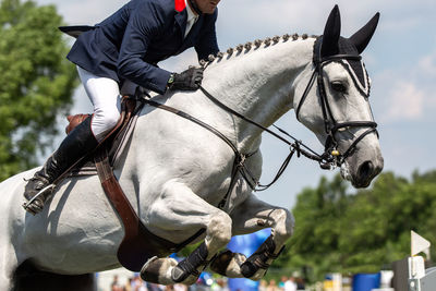 Man riding horse