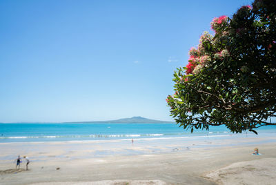 Scenic view of beach against clear blue sky