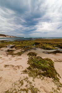 Scenic view of beach against sky