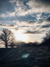 Silhouette bare trees on field against sky during sunset