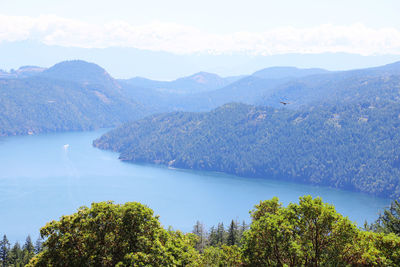Scenic view of trees and mountains against sky
