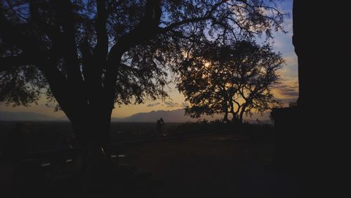 Silhouette of bare trees at sunset