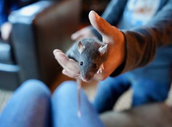 Close-up of hand feeding outdoors