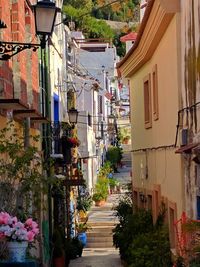 Alley amidst houses against sky