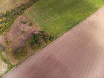 Scenic view of agricultural field