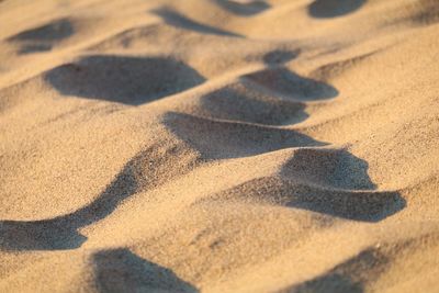 Shadows on sandy beach