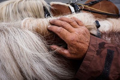 Rear view of a woman with hands