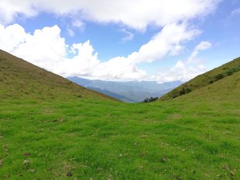 Scenic view of field against sky