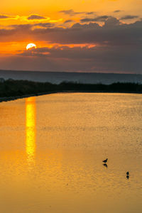 Scenic view of sea at sunset