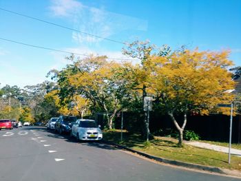 Cars on road