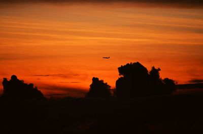 Silhouette bird flying against orange sky