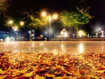 Illuminated street light at night