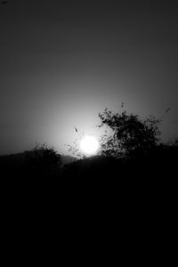 Low angle view of silhouette trees against clear sky during sunset