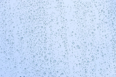 Flock of birds flying over water drops