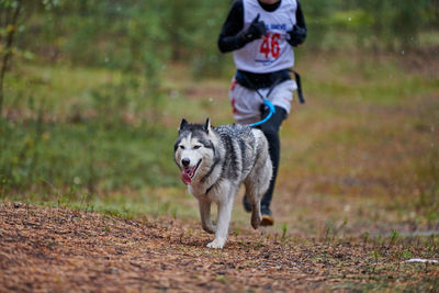 Dog running on field