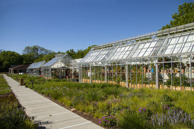 Plants growing outside building against clear blue sky