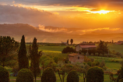Sunset over a garden on a farm in tuscany, italy