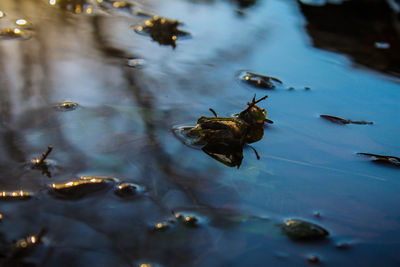 The calm of spring