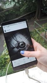 Cropped image of woman holding smart phone