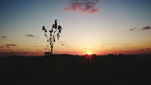 Silhouette tree against sky during sunset