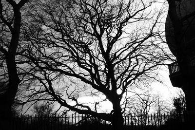 Low angle view of bare trees against sky