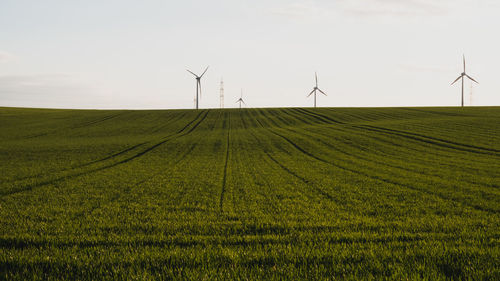 Scenic view of farm against sky