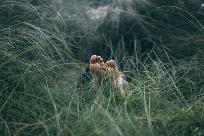 Man lying down in grass