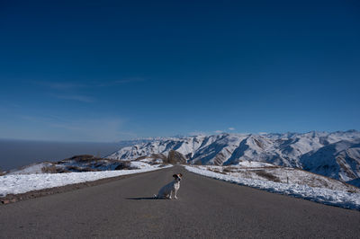 Scenic view of snowcapped mountains against blue sky