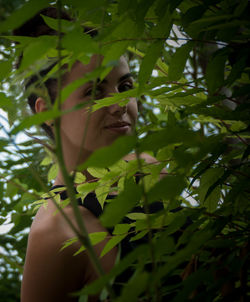 Close-up portrait of young woman with tree